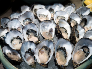 Tasty fresh shucked oysters on ice. Raw oysters packed with nutrition, high in calcium, potassium, magnesium, vitamin and mineral. Flavor are sweet and refreshing. Believed to be an aphrodisiac.