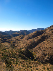 Scenic views of the Arizona Desert