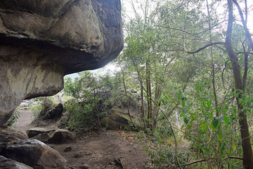 camino silvestre natural rocoso