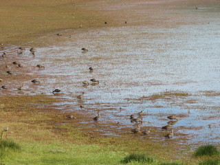 Reserva Laguna Nimez