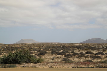 krajobraz pustynny na wyspie