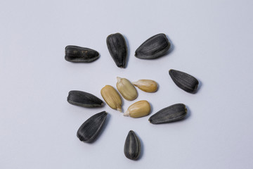 Sunflower seeds on a white background