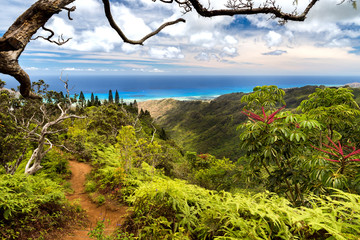 Amazing Hawaii, Kuliouou Ridge, Oahu Hawaii