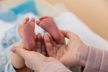 Newborn's legs in the hands of parents