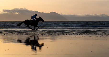 Silhouette of race horse and jockey racing racing on the beach, wild Atlantic way on the west coast...