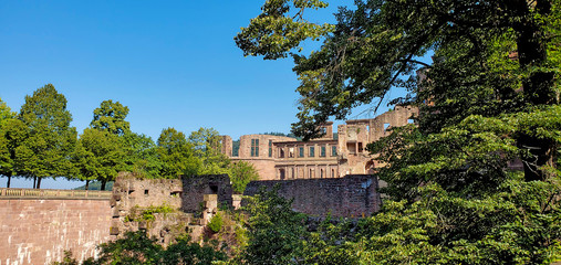 historic Heidelberg Castle in Heidelberg Germany with blue sky and green trees