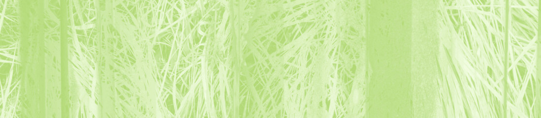 Fototapeta premium abstract light green background with copy space for design
