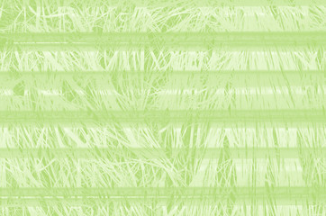 abstract light green background with copy space for design