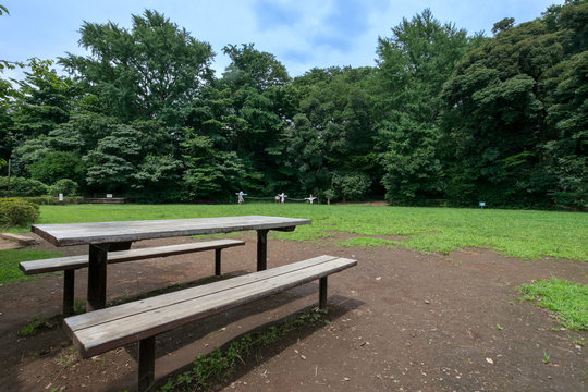 せせらぎ公園 Images Browse 195 Stock Photos, Vectors, and Video Adobe Stock