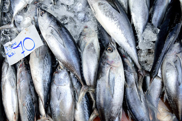 Fresh raw fish for sale in a street market in Bangkok, Thailand
