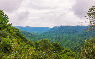 Naklejka premium Scenic view from Baughman Rock Overlook.Ohiopyle State Park.Pennsylvania.USA