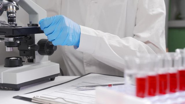 Veterinarian examines a blood sample of an animal on a microscope. Concept - madness, pyroplasmosis, pork plague, bird flu