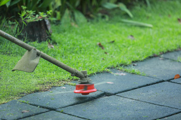 Mow the grass with a lawn mower in the garden.