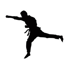 Martial Arts Silhouette