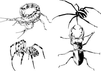 vector drawings sketches different insects bugs Scorpions spiders drawn in ink by hand , objects with no background