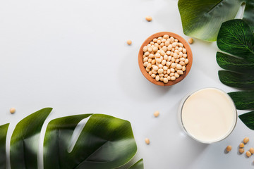 Soy milk and soy bean on gray table kitchen background. Non-dairy milk concept. Vegan drink. Hard...