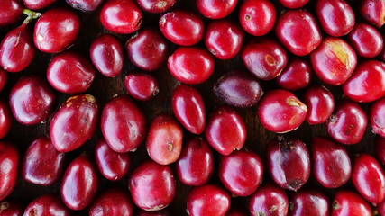 close up of fresh coffee beans for background  