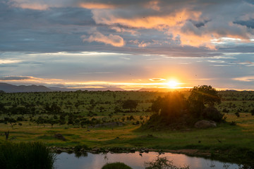 Beautiful and dramatic african landscape, sunset in Serengeti