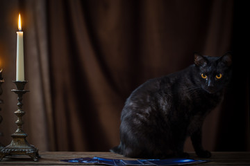 black cat, fortune-telling cards and burning candles on dark brown background