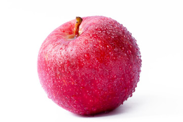 One red apple with water droplets on the skin on a white background