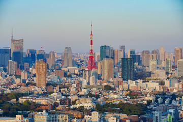 Fototapeta na wymiar 東京タワーのある夕景