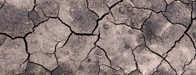 Global warming drought. Creative cracks in the ground