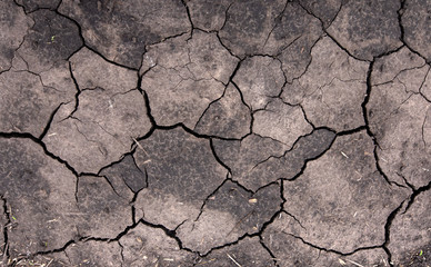 Global warming drought. Creative cracks in the ground