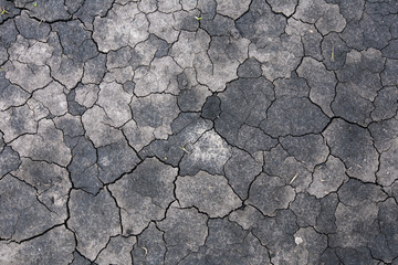 Global warming drought. Creative cracks in the ground