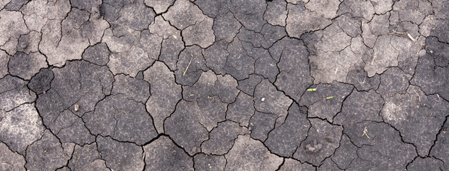 Global warming drought. Creative cracks in the ground