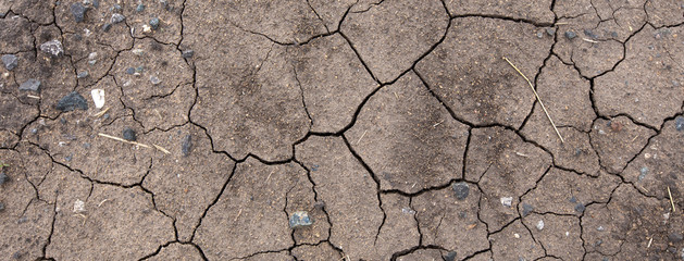 Global warming drought. Creative cracks in the ground