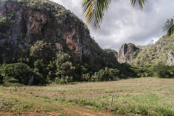 Fototapeta na wymiar Landscape views in Vinales, Cuba. 