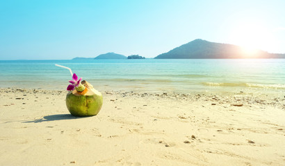 coconut cocktails on tropical beach. Summer travel, adventure and sea trip vacation concept. Sandy beach with fresh drink coconut juice decorated plumeria flower. copy space