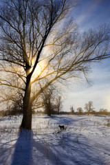 Winter frozen river on a sunny day