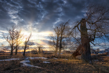 Осень закат поляна дерево снег