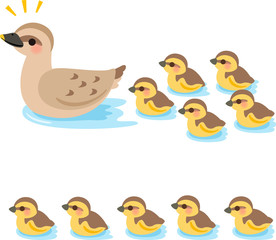 水面を泳ぐ鴨の親子