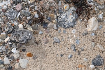 sand ground with pepbble stones texture