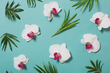 orchid flowers and green leaves on mint color paper background