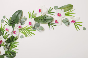 orchid flowers and green leaves on white background