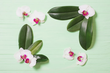 orchid flowers and exotic leaves on green wooden background