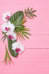 orchid flowers and exotic leaves on pink wooden background
