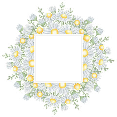Chamomile square frame