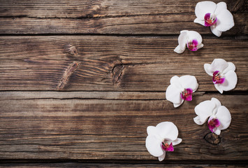 beautiful orchids on old wooden background