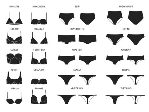 Types of women's panties  and bras. Set of underwear. Vector illustration