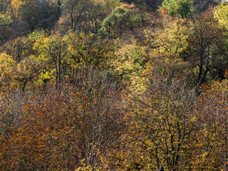 Fototapeta premium Paysage d'automne à Orgeval dans les Yvelines en France