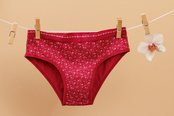 Beautiful women's cotton panties on beige background.