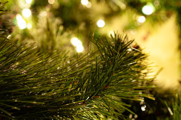 Fototapeta na wymiar CloseUp Christmas Tree