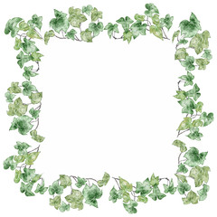 Fototapeta premium 観葉植物のフレーム柄