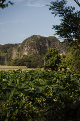 Rural views of the mountains in Cuba. 