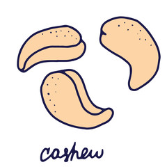 Hand drawn isolated indian food icon. Color fill illustration of indian cashew. Cashew nuts icon.