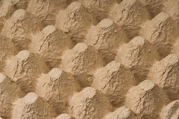 Paper trays empty egg containers. Close-up